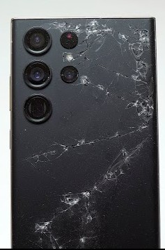 Display 6499