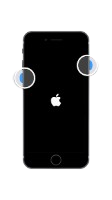 Button Not Working