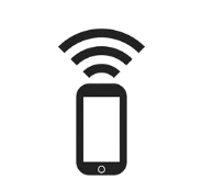 Network.Wifi.Bluetooth Issue